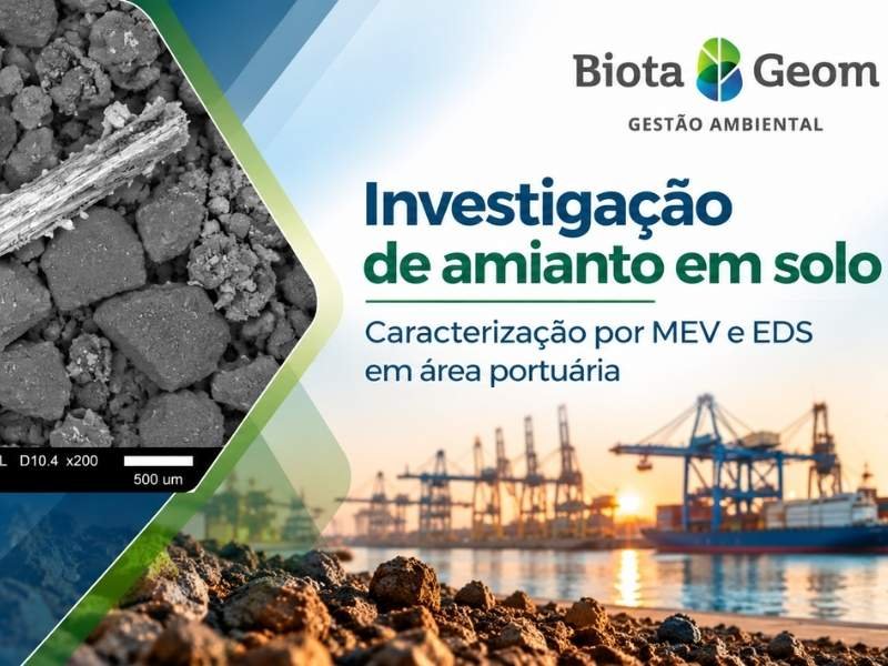 Investigação de amianto em solo: caracterização técnica em área portuária de Santos (SP)