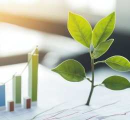 Quais são as principais dúvidas sobre ESG? Respostas claras para empresas que querem começar.