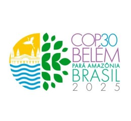 COP30 em Belém: O que o Brasil e sua empresa devem antecipar para estar prontos para a nova era ESG