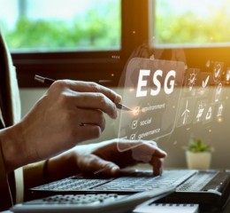 Grandes Projetos ESG no Brasil: O que Podemos Aprender?