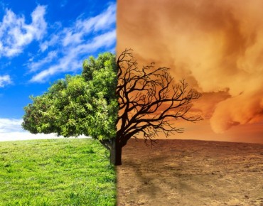 Como a Adaptação às Mudanças Climáticas pode ser um Diferencial Competitivo?