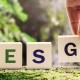 O que é ESG e por que é importante para as empresas?