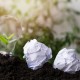 Consultoria ambiental + ESG: por que adotar agora é diferencial decisivo
