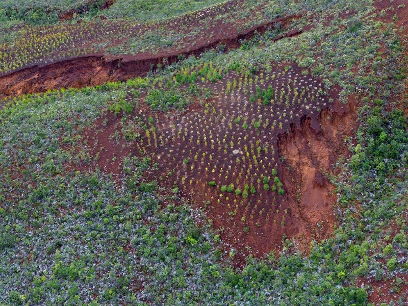 Avaliação de Danos Ambientais na Recuperação de Áreas Degradadas após Eventos Climáticos