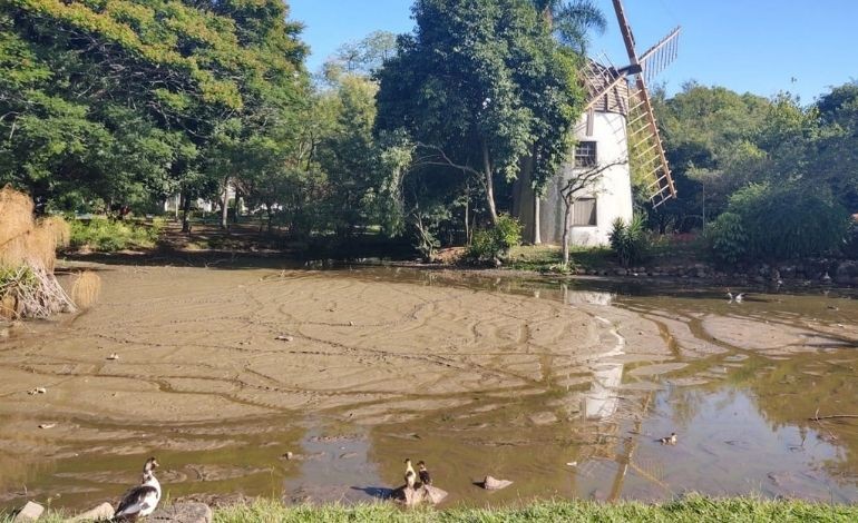 Revitalizacao de áreas de lazer projetos da Biota-Geom