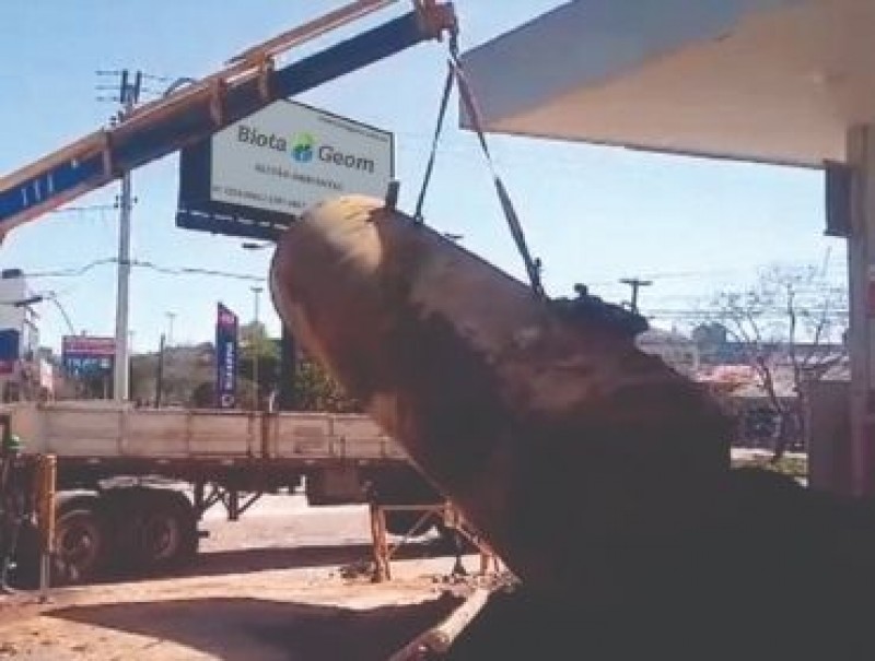 Substituição ou Remoção de Tanques de Combustíveis para Indústrias